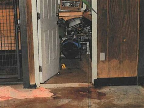 murdaugh murder pics|6 Crime Scene Crime Scene Photos The Jury Saw。